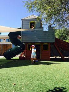 The teapot north phoenix