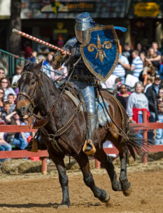 az renaissance festival (feb)