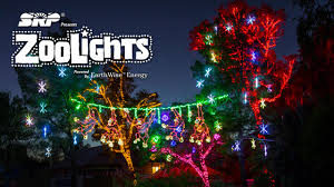 zoo lights (nov)